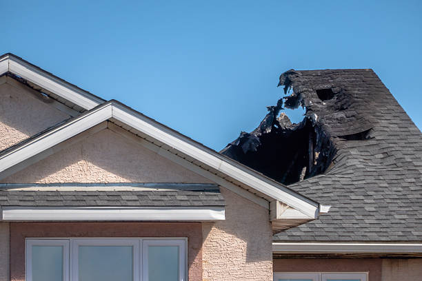 Top rated local Odor Removal specialists in Sanford, FL